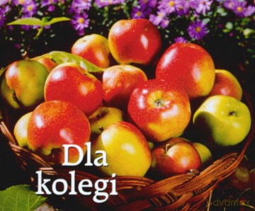 Dla Kolegi [KSIĄŻKA]