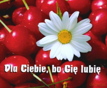 Dla Ciebie Bo Cię Lubię [KSIĄŻKA]
