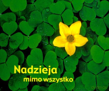 Nadzieja Mimo Wszystko [KSIĄŻKA]