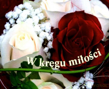 W Kręgu Miłości [KSIĄŻKA]