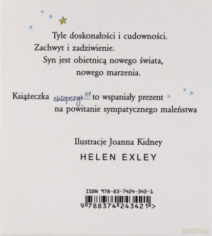 Chłopczyk Iskierki (twarda) [KSIĄŻKA]