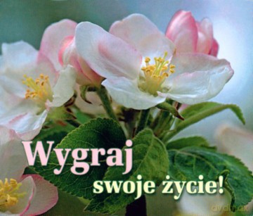 Wygraj Swoje Życie [KSIĄŻKA]