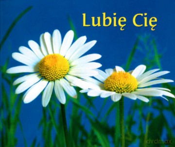 Lubię Cię [KSIĄŻKA]