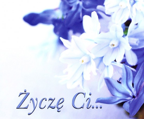 Życzę Ci Perełki [KSIĄŻKA]
