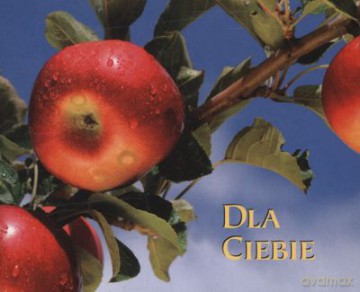 Dla Ciebie Perełki [KSIĄŻKA]