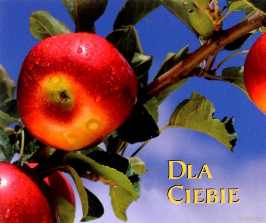 Dla Ciebie Perełki [KSIĄŻKA]