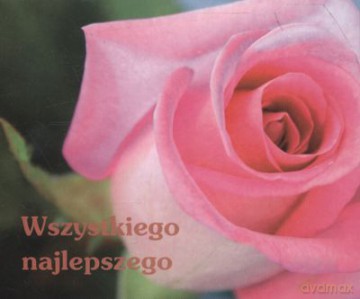 Wszystkiego Najlepszego Perełki [KSIĄŻKA]