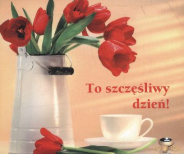 To Szczęśliwy Dzień Perełki [KSIĄŻKA]