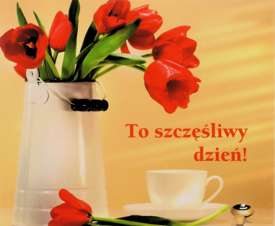 To Szczęśliwy Dzień Perełki [KSIĄŻKA]