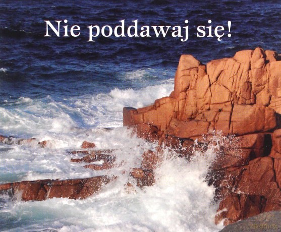 Nie Poddawaj Sie Perełki [KSIĄŻKA]