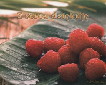 Z Serca Dziekuję Perełki [KSIĄŻKA]