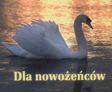 Dla Nowożeńców Perełki [KSIĄŻKA]