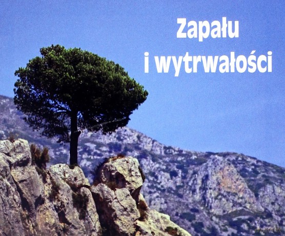 Zapału I Wytrwałości Perełki [KSIĄŻKA]