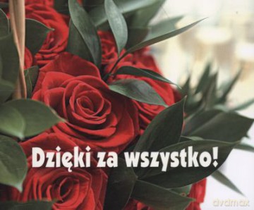 Dzięki Za Wszystko Perełki [KSIĄŻKA]