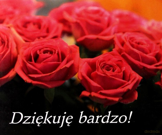 Dziekuję Bardzo Perełki [KSIĄŻKA]