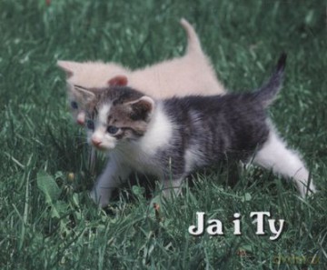 Ja I Ty Perełki [KSIĄŻKA]