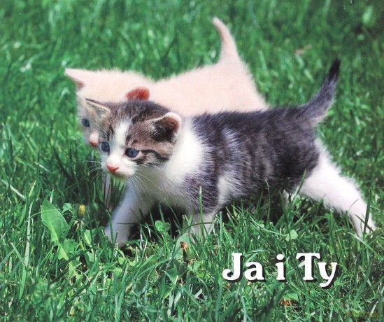 Ja I Ty Perełki [KSIĄŻKA]