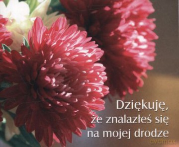 Dziekuję Że Znalazłeś Się Na Mojej Drodze [KSIĄŻKA]