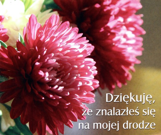 Dziekuję Że Znalazłeś Się Na Mojej Drodze [KSIĄŻKA]
