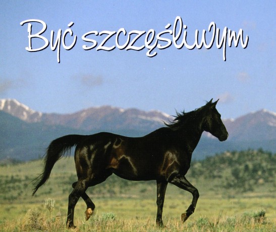 Być Szczęśliwym Perełki [KSIĄŻKA]