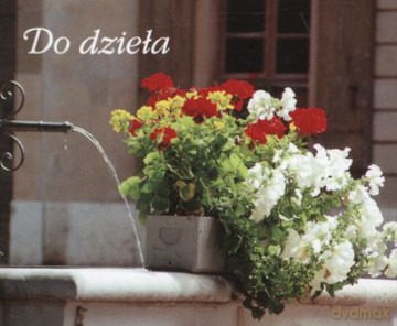 Do Dzieła Perełki [KSIĄŻKA]