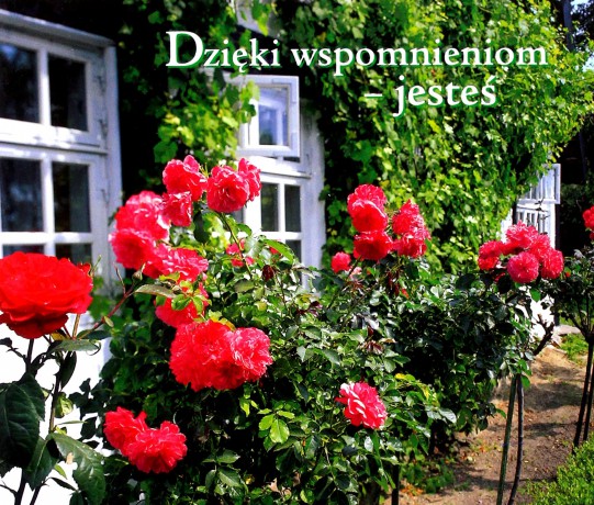 Dzięki Wspomnieniom Jesteś Perełki [KSIĄŻKA]