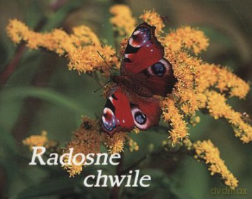 Radosne Chwile Perełki [KSIĄŻKA]