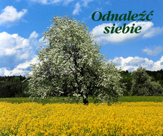 Odnaleźć Siebie Perełki [KSIĄŻKA]