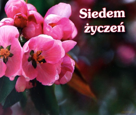 Siedem Życzeń Perełki [KSIĄŻKA]
