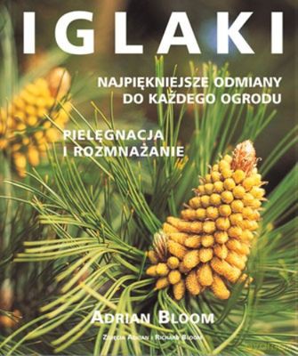 Iglaki (twarda) - Adrian Bloom [KSIĄŻKA]