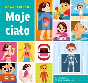 Maluch poznaje. Moje ciało - Rita Dudkowska [KSIĄŻKA]