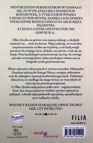 Tajemnica willi Sielanka - Maria Ulatowska, Jacek Skowroński [KSIĄŻKA]