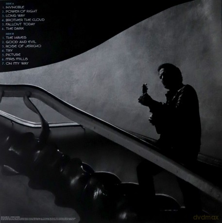 Eddie Vedder: Earthling [Winyl]