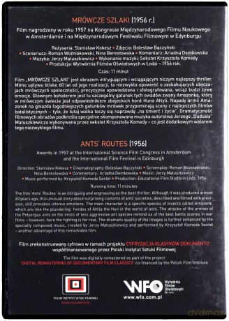 Mrówcze szlaki [DVD]
