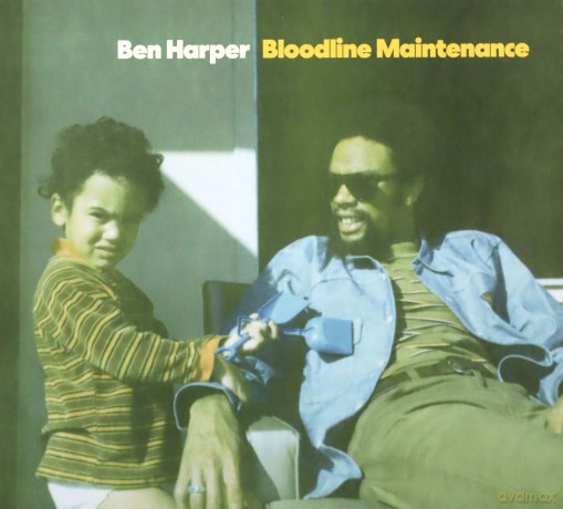 Ben Harper: Bloodline Maintenance [CD]