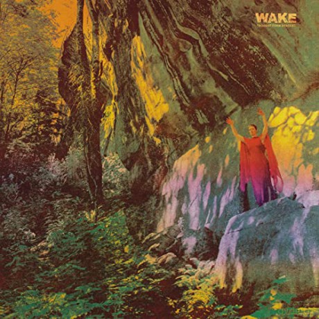 Wake: Thought From Descent [CD]