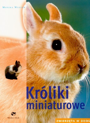 Króliki Miniaturowe Zwierzęta W Domu - Monika Wegler [KSIĄŻKA]