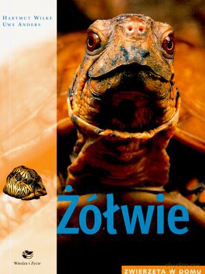 Żółwie Zwierzęta W Domu - Hartmut Wilke, Uwe Andersa [KSIĄŻKA]
