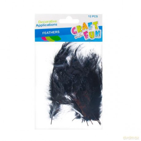 CF Ozdoba dekoracyjna Piórka czarne 10-14 cm 12szt/op