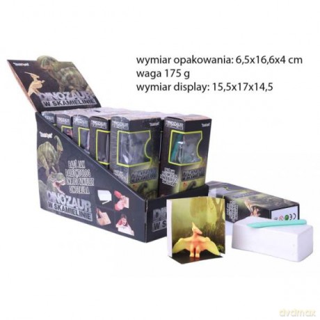 Dinozaur w skamielinie 1005957 mix