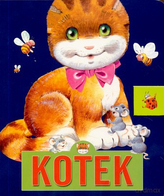 Kotek (twarda) [KSIĄŻKA]