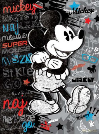 Karnet XL Disney