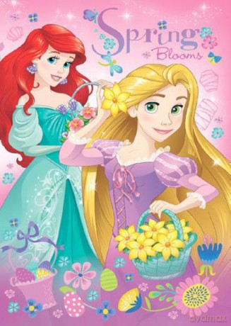 Karnet złoty Disney Princes