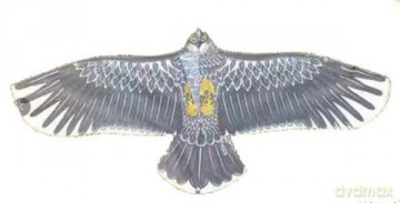 Latawiec ptak szary 1006052