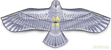 Latawiec ptak szary 1006052
