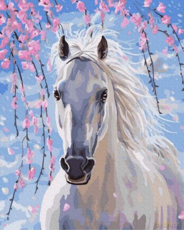 Malowanie po numerach Bielszy niż śnieg 50x65 cm PC5065038 IPICASSO