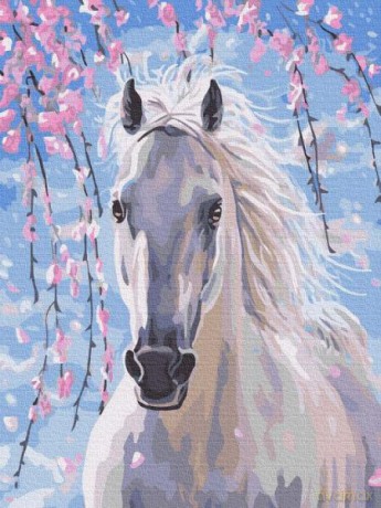 Malowanie po numerach Bielszy niż śnieg Koń 30x40 cm PC3040071 IPICASSO