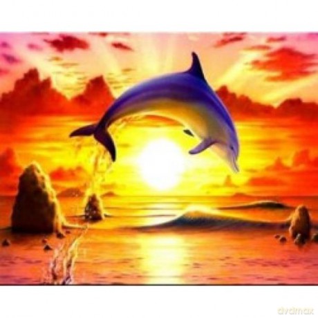 Malowanie po numerach Delfin na tle zachodu słońca 40 x 50 cm 5552
