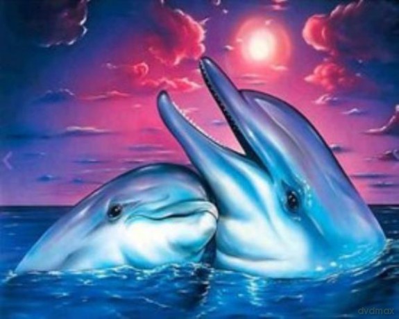 Malowanie po numerach Delfiny 40 x 50 5535