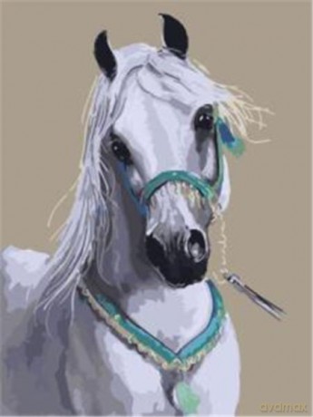 Malowanie po numerach Koń biały arab 40 x 50 cm 5577